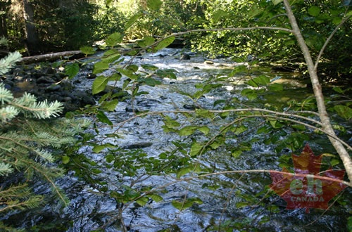 River