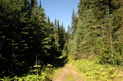 parking_lot_trail 002.jpg