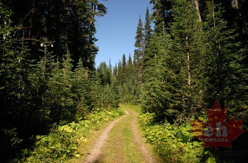 Beginning of Trail.