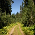 Beginning of Trail.