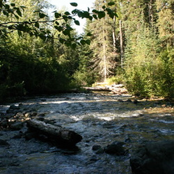 Lyon Creek Trail