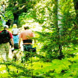 Harvey Mountain Trail