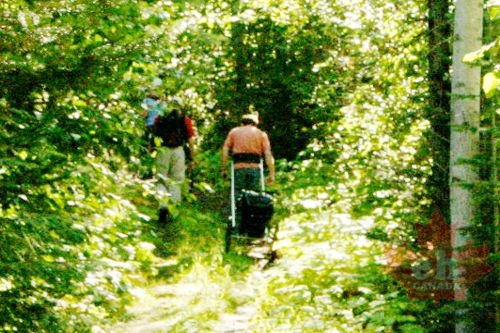 Hiking Up