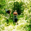 Hiking Up