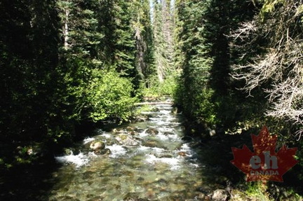 River