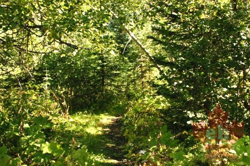 Hiking Trail