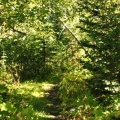 Hiking Trail