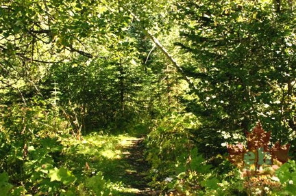 Hiking Trail