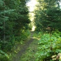 Hiking Trail