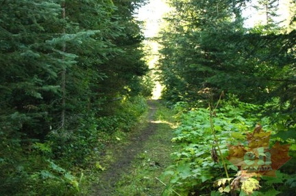 Hiking Trail