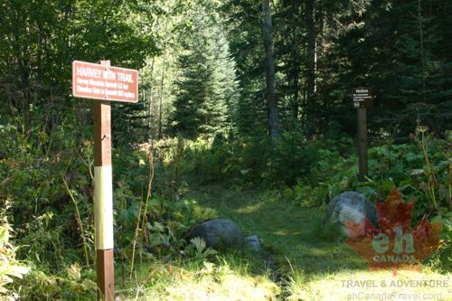 Trailhead