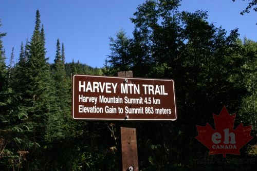 Info Sign