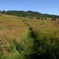 Farmer 's Field