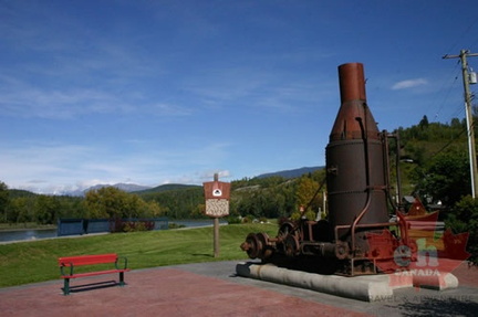 Steam Donkey