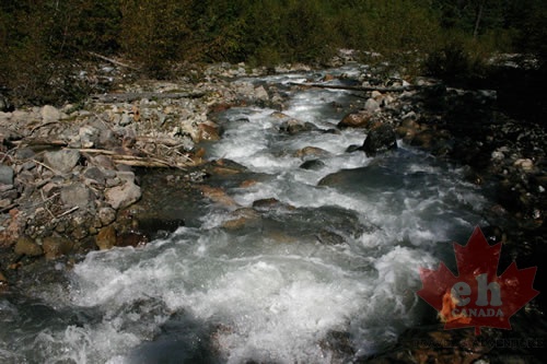 Creek White Water