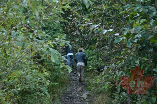 Hikers