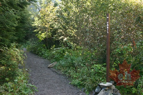 Hiking Trail