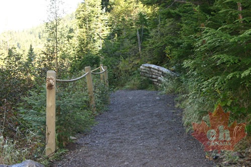 Hiking trail