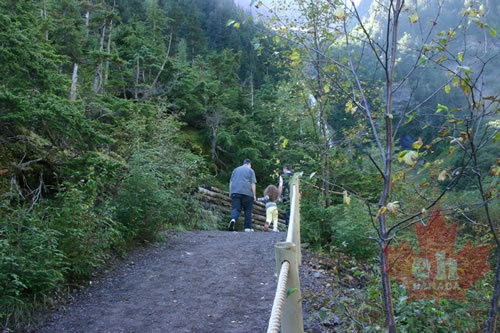 Family Hike