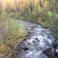 Driftwood Creek