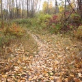 Hiking Trail