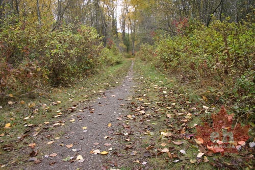 Hiking Trail