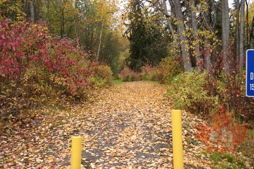 Paved Trail