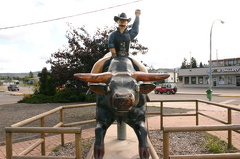 Ride em Cowboy
