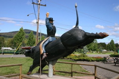 Bull Riding