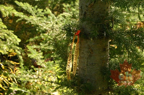 Trail Marker