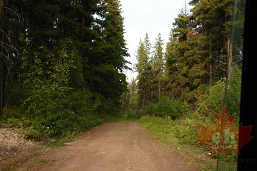 Gravel Road