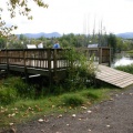 Birdwatching Platform