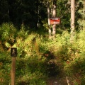 Trailhead Marker