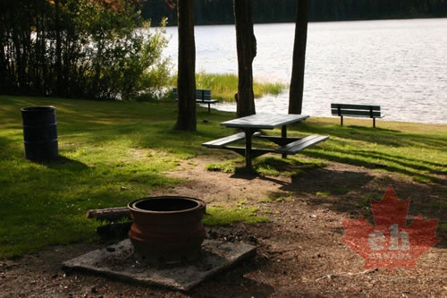 Picnic Area