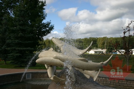Dolphin Fountain