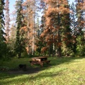 Picnic Table