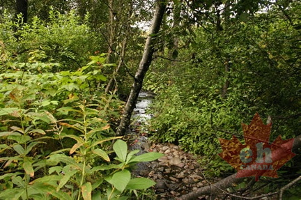 Hiking Trail Creek
