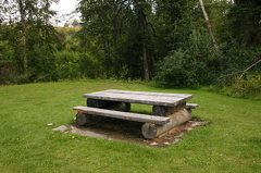 picnic.jpg