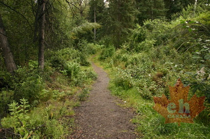 Walking Trail