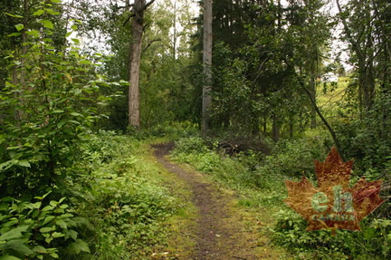 Hiking Trail