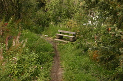 trail 003.jpg
