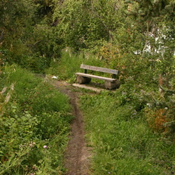 Evenshu Nature Trail