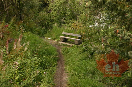 Sitting Bench