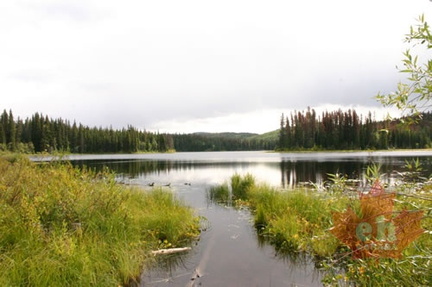 lake 002.jpg