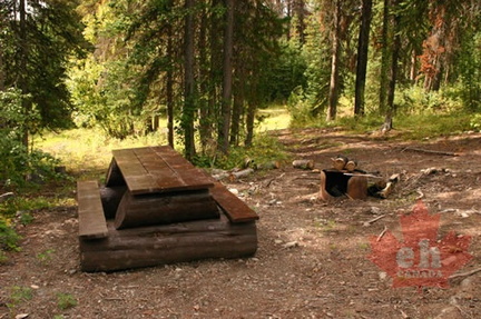 picnic.jpg