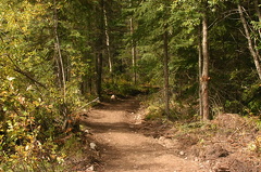 trail 002.jpg