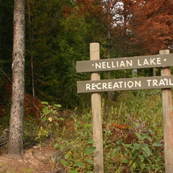 Nellian Lake Trail