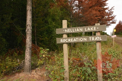Nellian Lake Trail