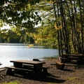 Picnic Site