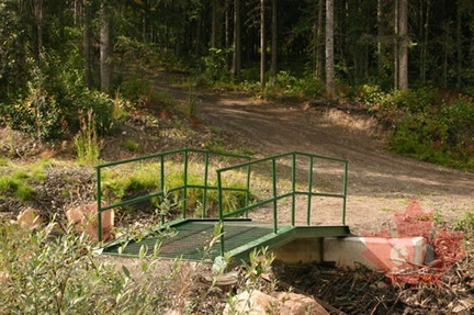 Walking Path Bridge
